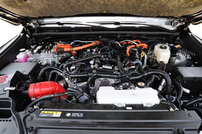 2025 Toyota 4Runner Hybrid TRD Off Road